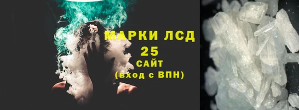 мяу мяу мука Аркадак