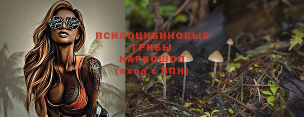 мяу мяу мука Арсеньев